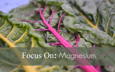 Focus On : Magnesium
