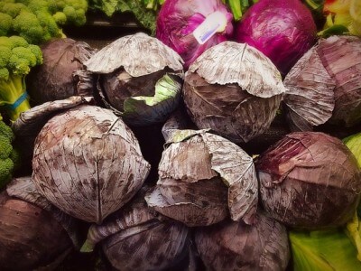 Red Cabbage is an Anti-Inflammatory Food